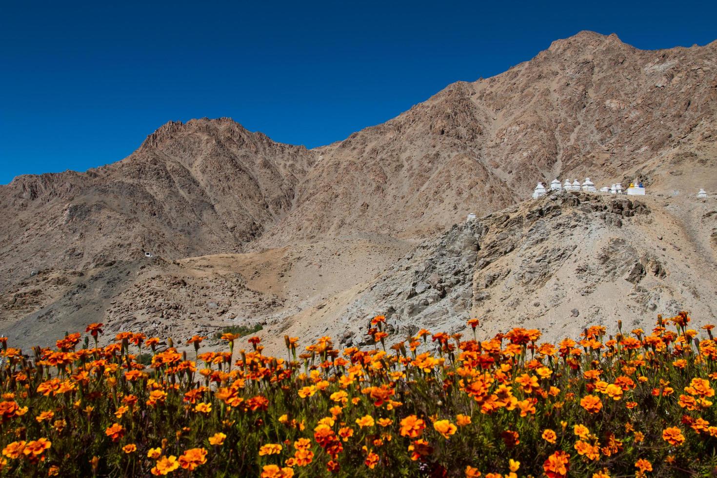 Snow mountain range, Leh Ladakh, India photo