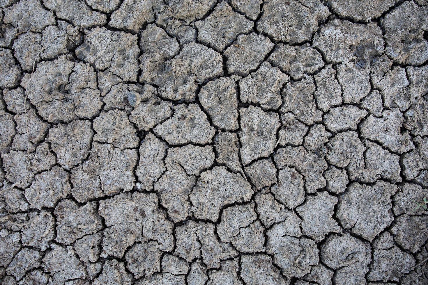 Background of dry cracked soil dirt or earth during drought photo