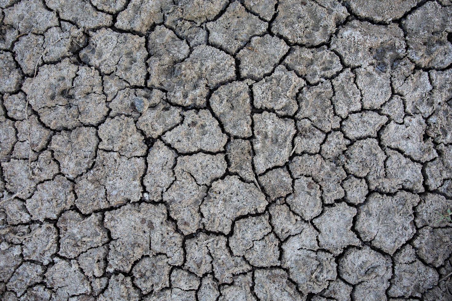 Background of dry cracked soil dirt or earth during drought photo