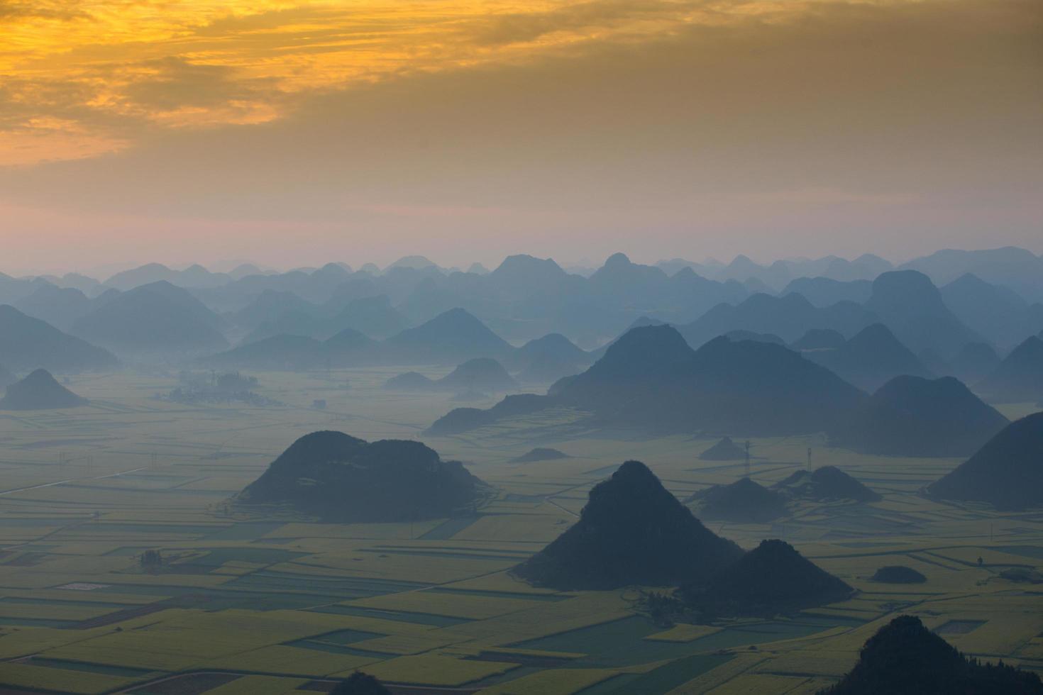 Yellow rapeseed flower field in Luoping, China photo