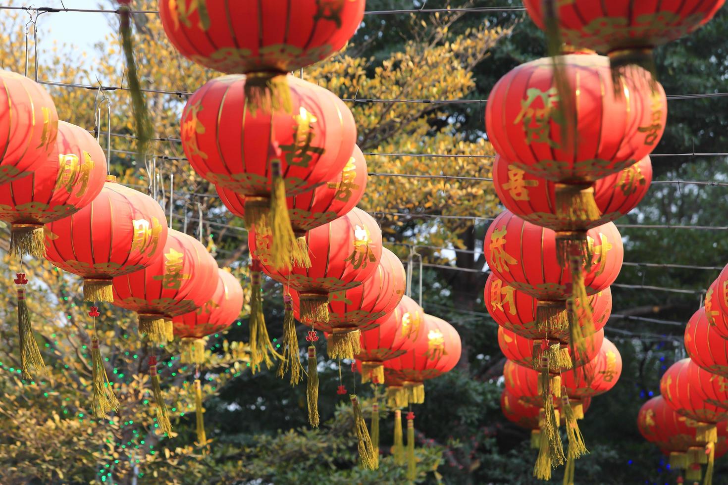 Chinese lanterns during new year festival photo