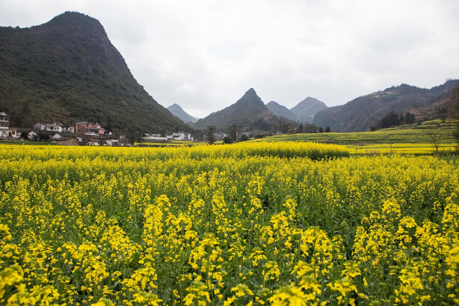 Spring fresh landscape of colorful fields, sunrise sky and beautiful hills valley photo