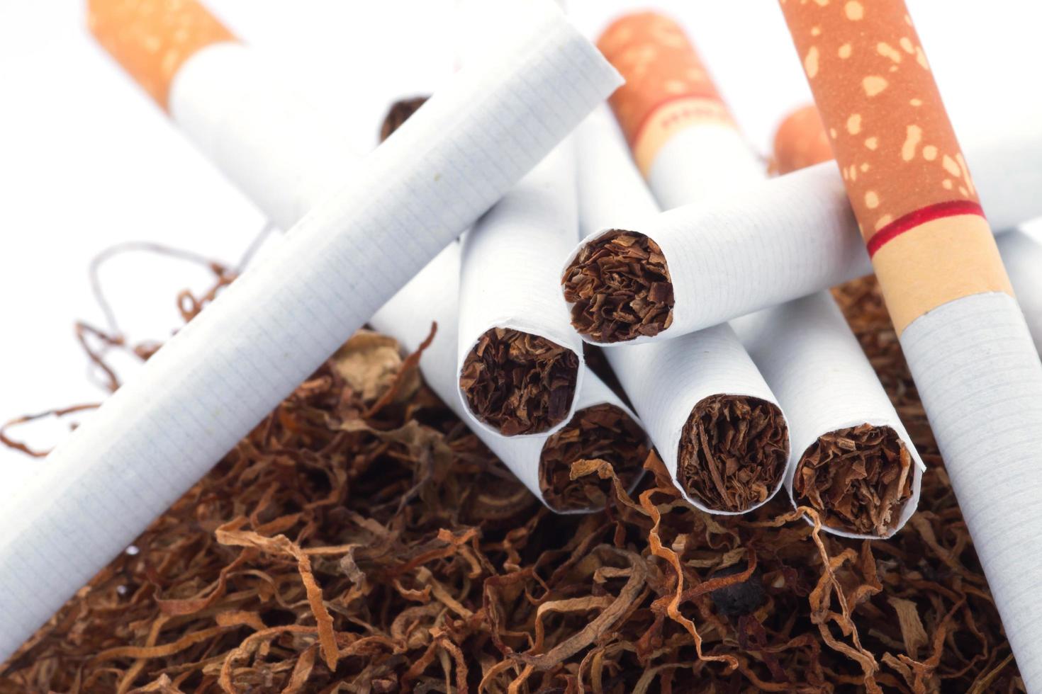 Tobacco pile and cigarettes photo