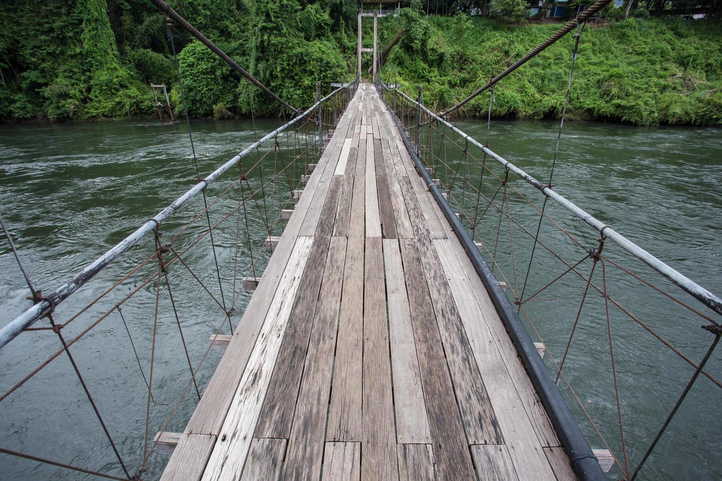 puente a la jungla foto