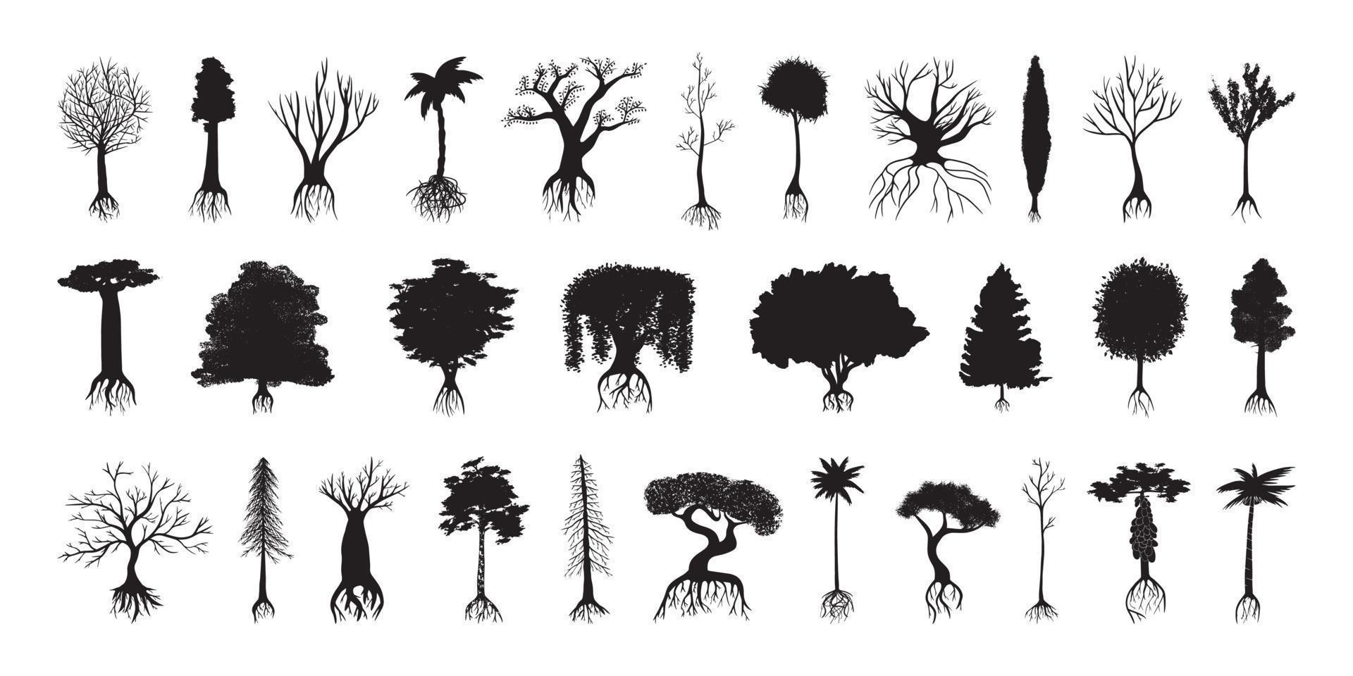 Set of Silhouettes of Trees vector