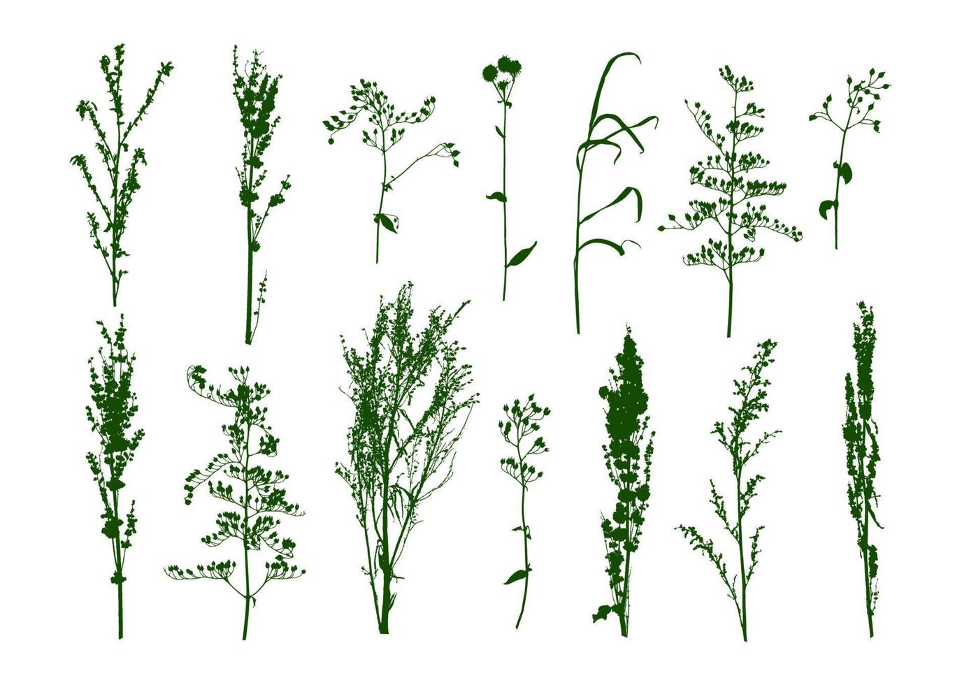 hierba silvestre, hierba de campo en flor, siluetas de plantas vector