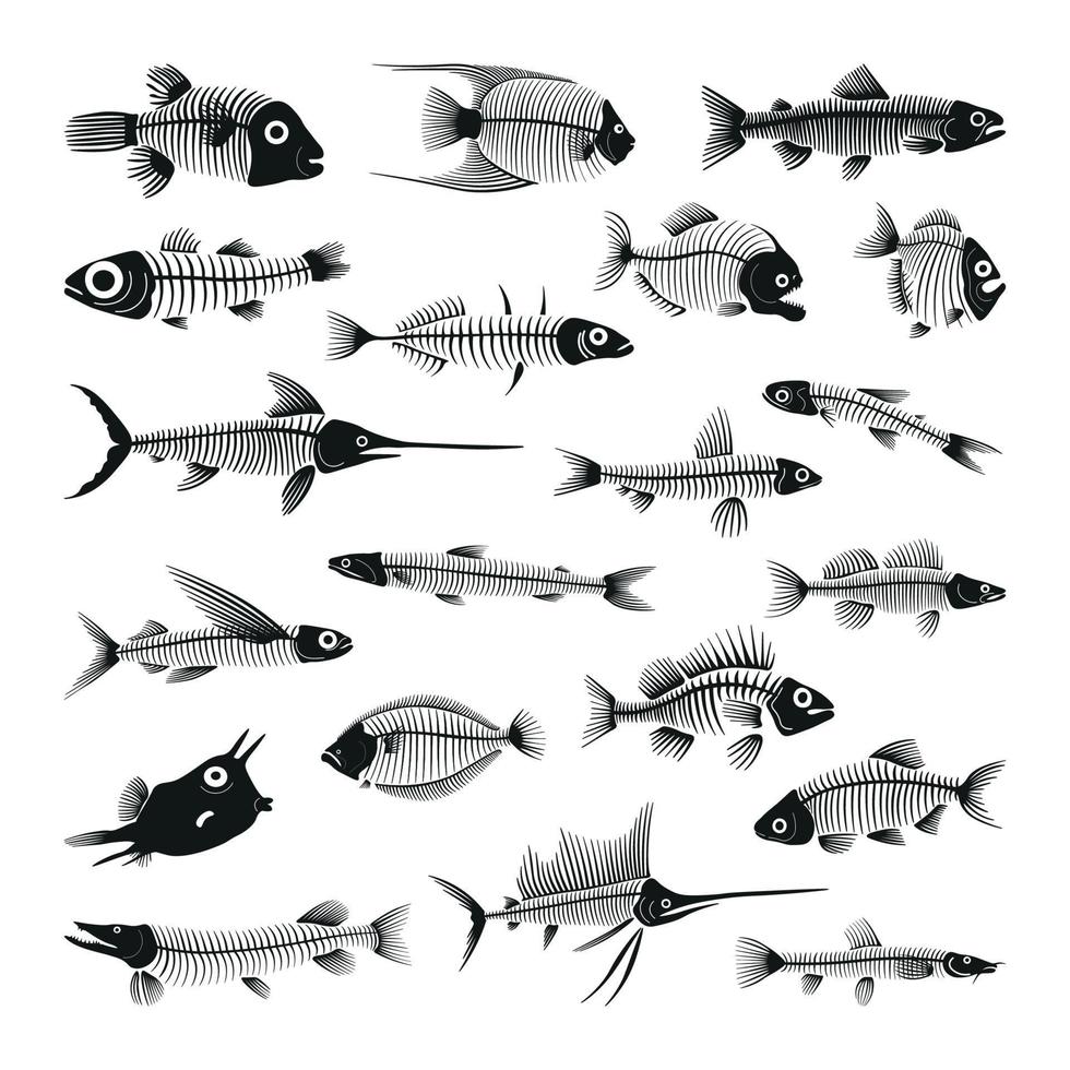 Set of Fish Skeletons vector