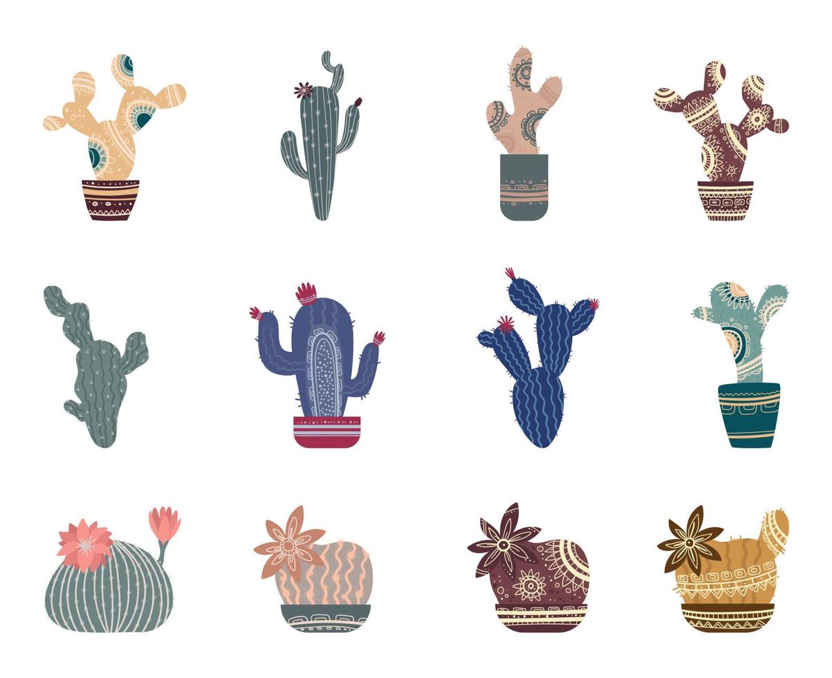 conjunto de cactus con patrones vector