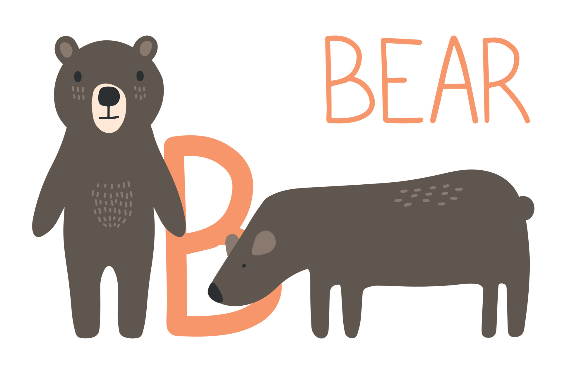 Bear Animal alphabet. Hand draw forest animals in Scandinavian style.  Learning letter B. 9567268 Vector Art at Vecteezy