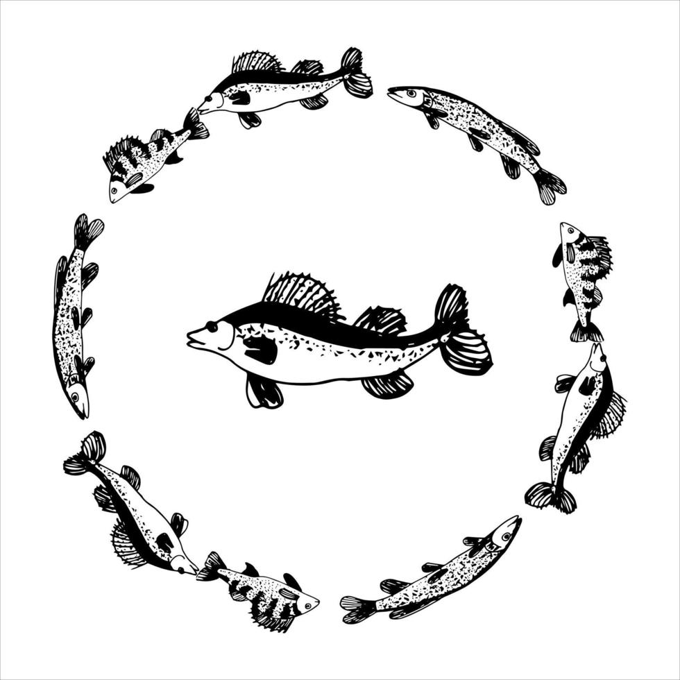 Decorative doodle round wreath wreath of ruff fish. Black silhouettes of fish swimming in a circle. Banner with fish. Doodle illustration. vector