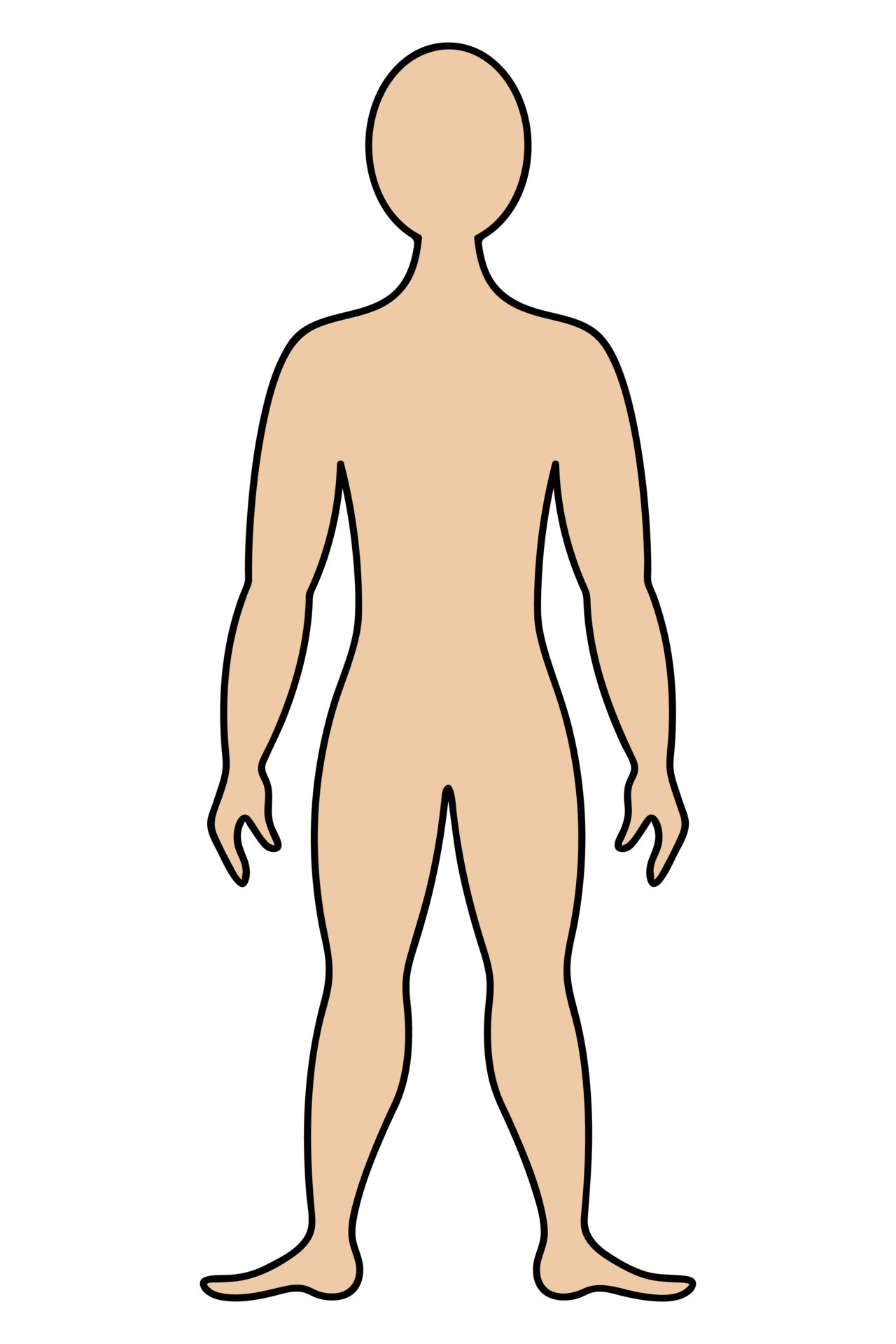 The human body. Color vector illustration. Muscular man in full growth.  Unknown person. Isolated background. Cartoon style. Medical theme. Idea for  web design 9568065 Vector Art at Vecteezy