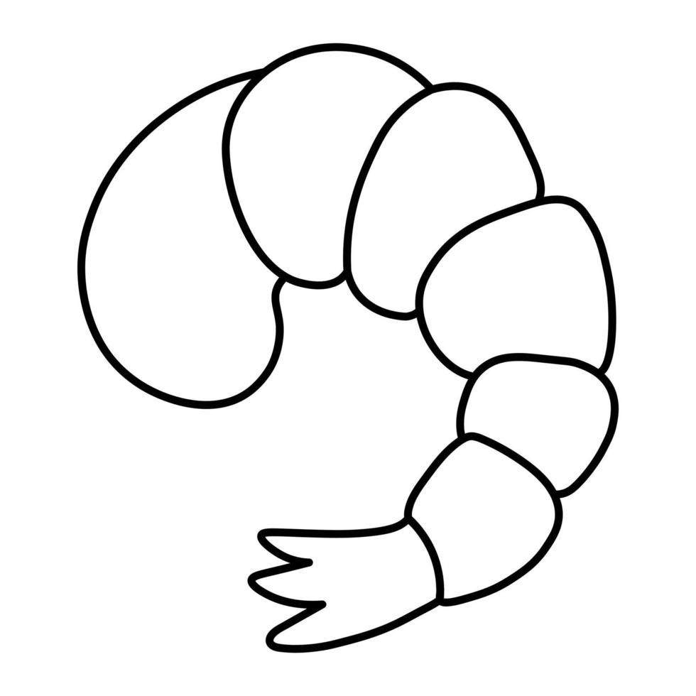 Shrimp. Seafood. Sketch. Vector illustration. Coloring book for children. Shrimp tail. Outline on isolated background. Doodle style.