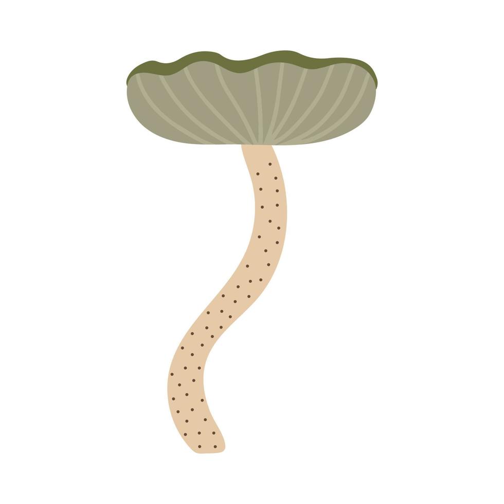 Hand drawn vector illustration of fungus. Poisonous inedible mushrooms. Cartoon style.