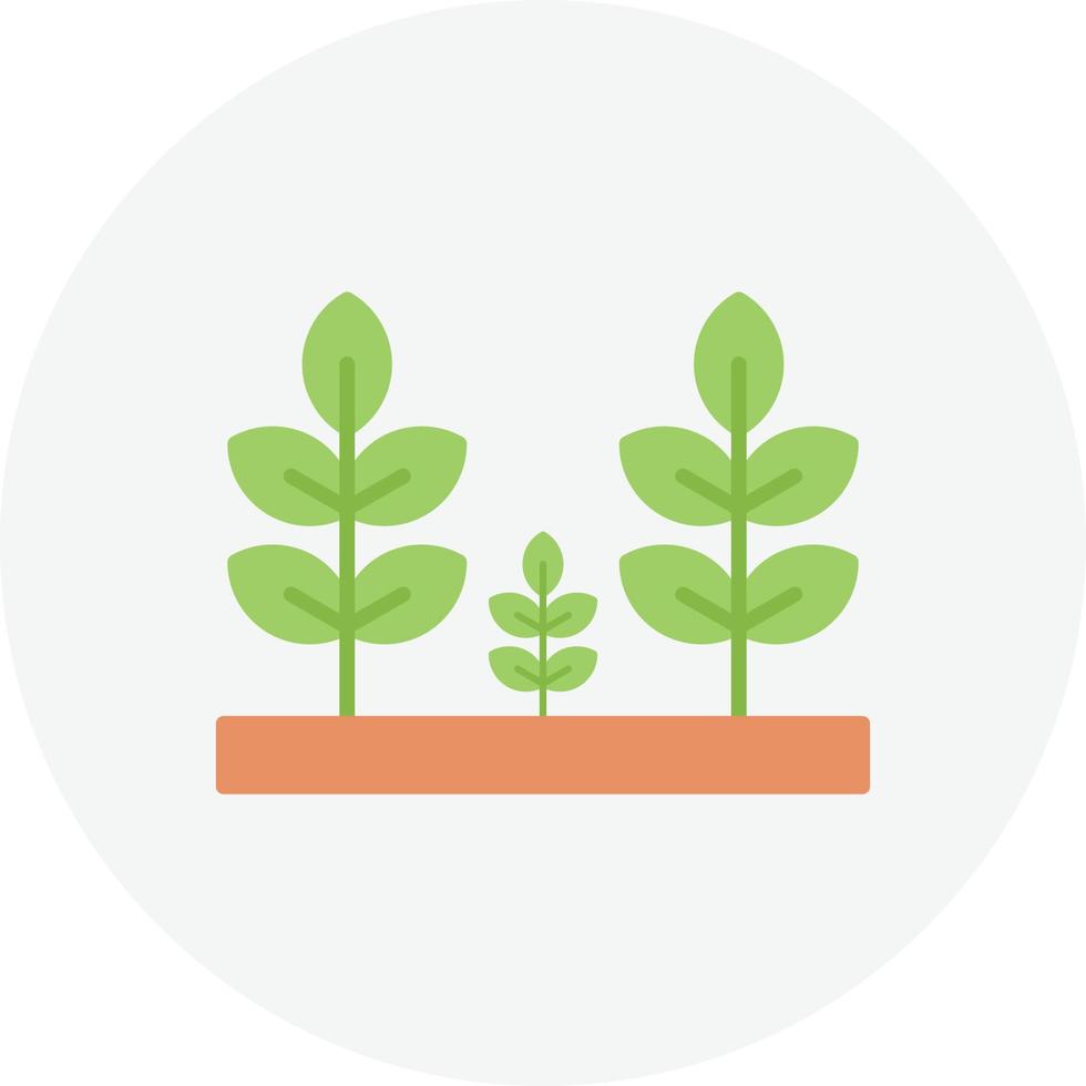 Plantation Geno Icon vector