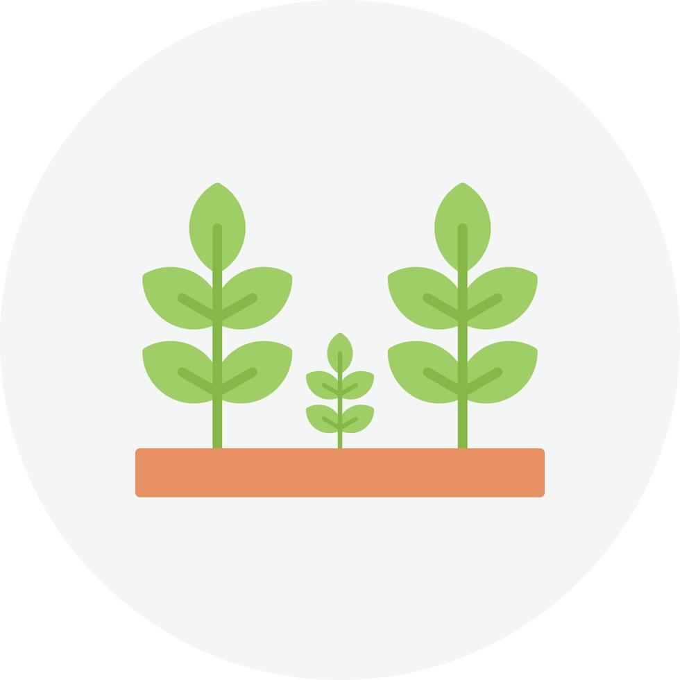 Plantation Geno Icon vector