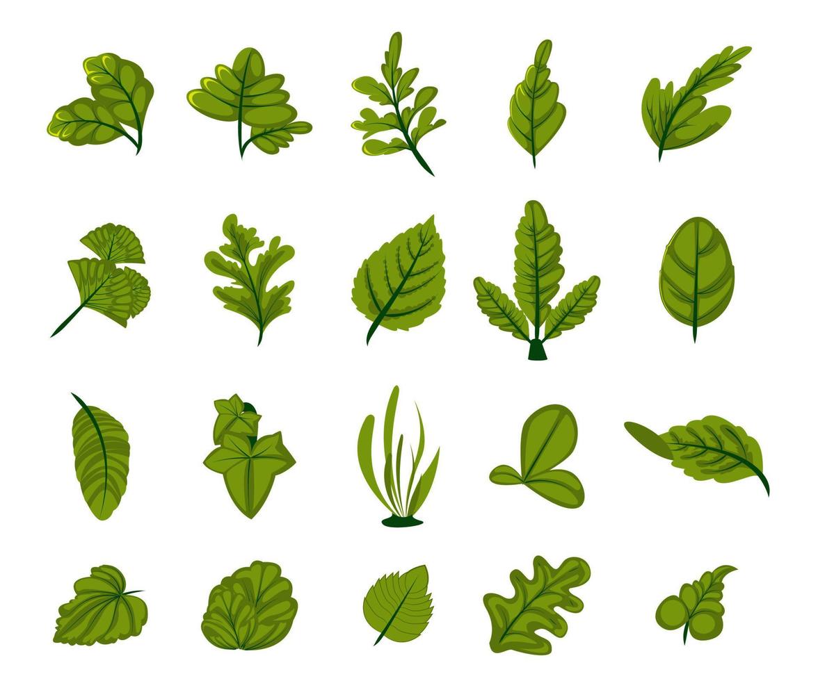 hoja verde vector naturaleza ilustración conjunto estilo plano