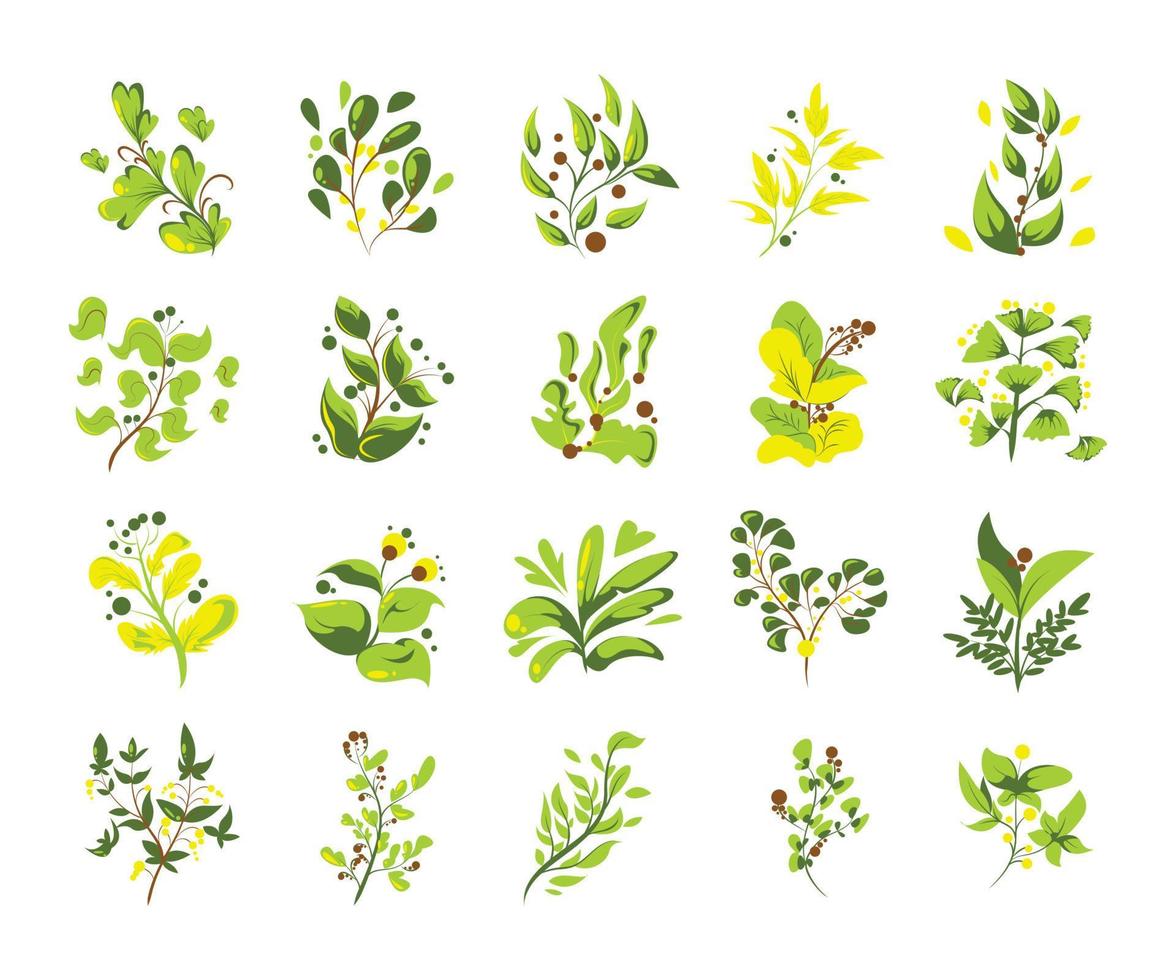 conjunto de elementos de colección de flores verdes estilo plano vector