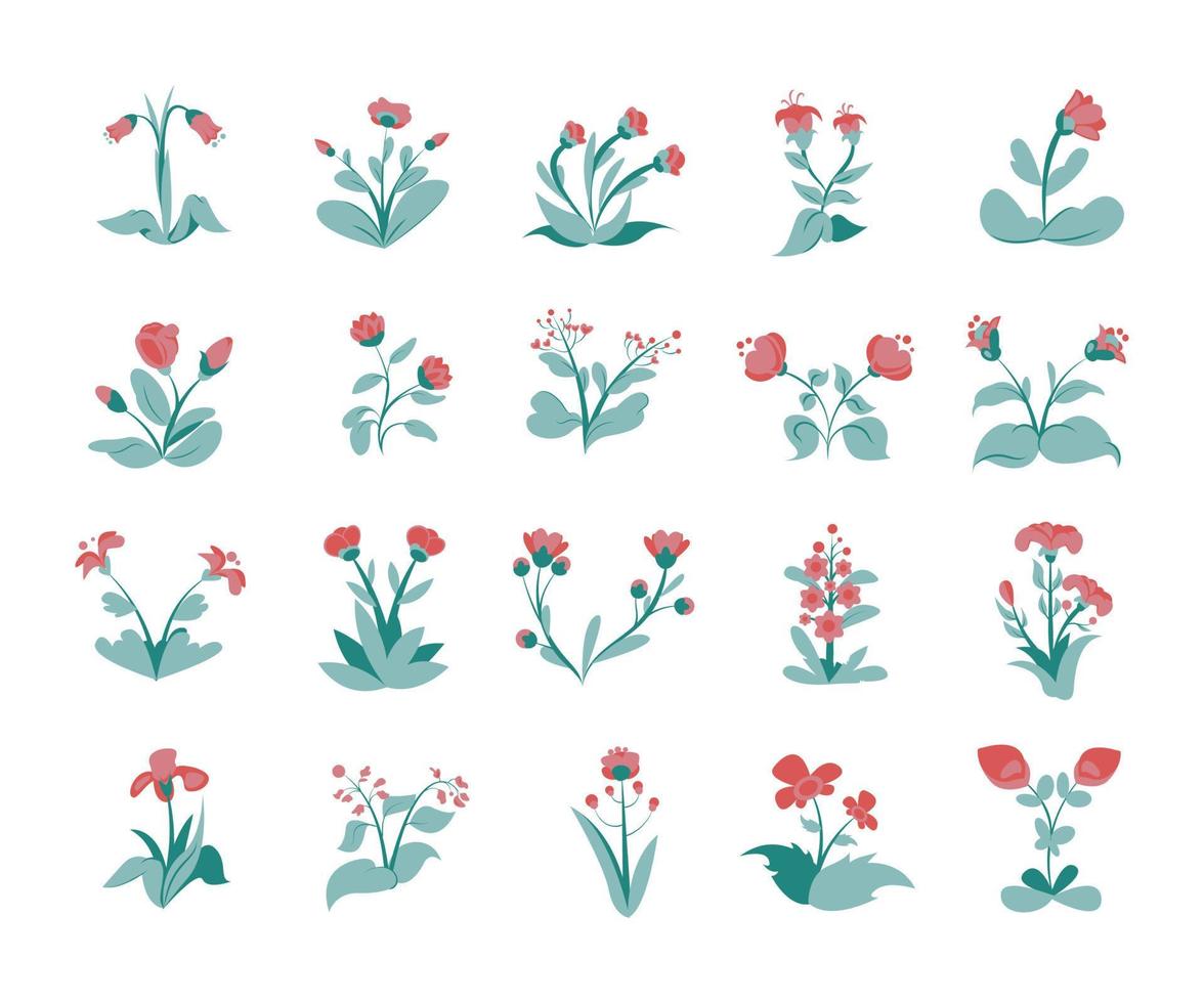 pink flower collection set illustration flat style vector