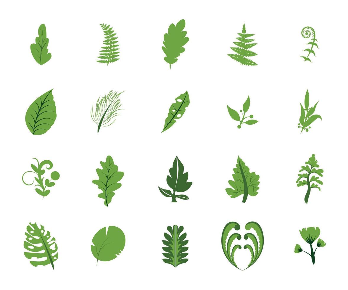 summer green leaves collection element set flat style vector