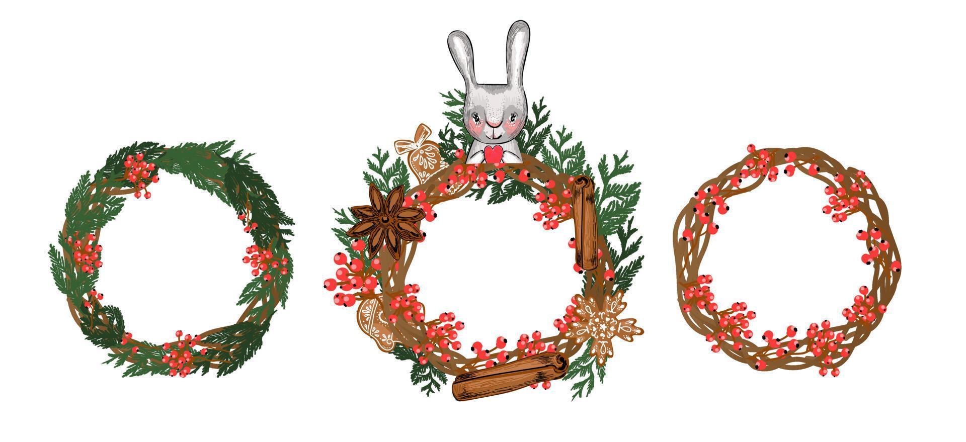 Set of christmas wreaths. Element for design cards and textiles. New Year. Fir branches and red berries. vector