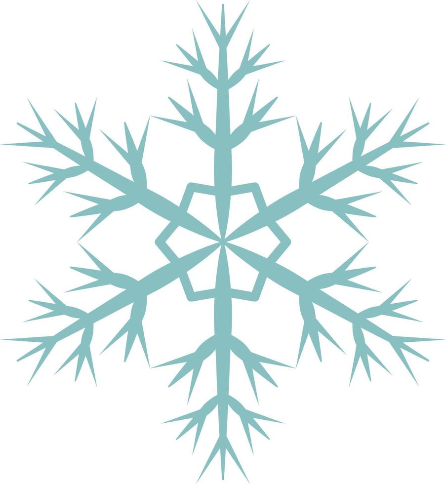 Graphic of snowflakes vector design.The beautiful element for many purposes.