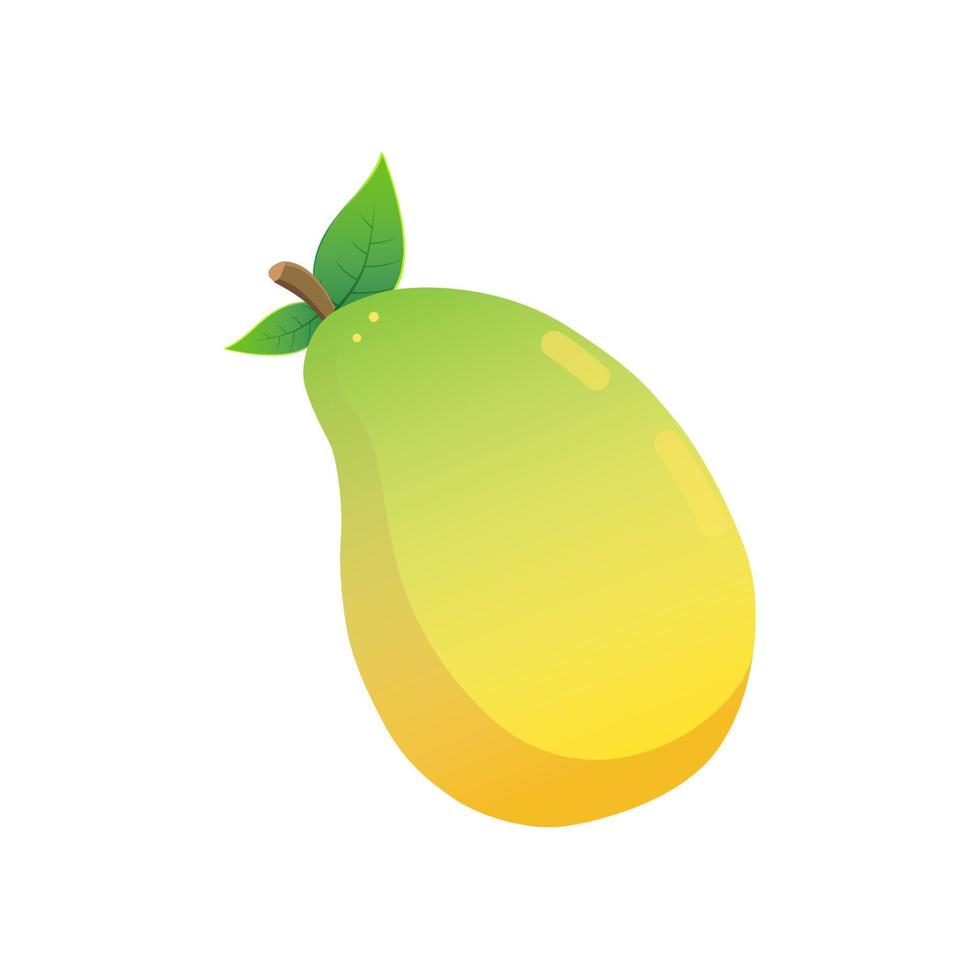 Mango Illustration isolated on white background. vector