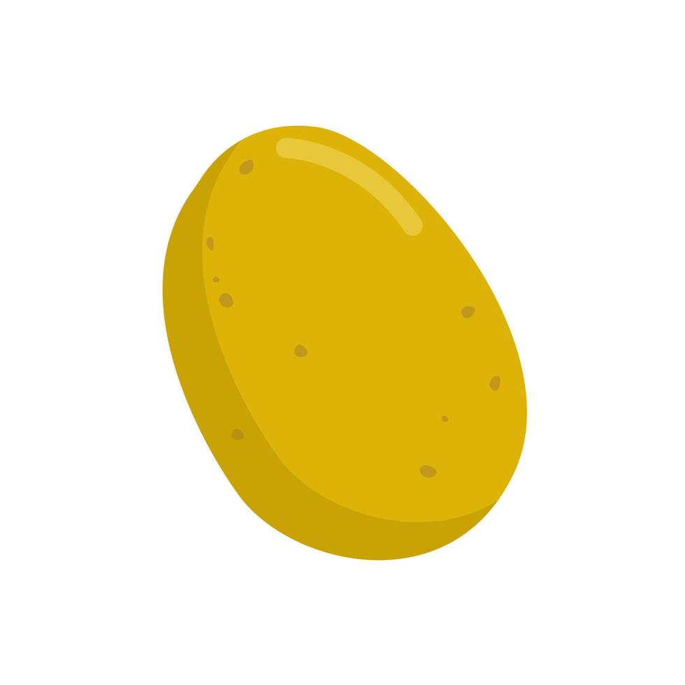 potato Illustration isolated on white background. vector