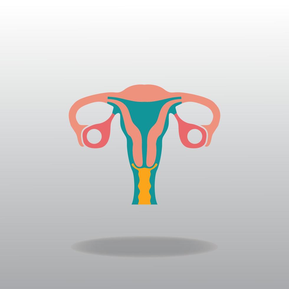 Womb flat icon graphic design vector illustration