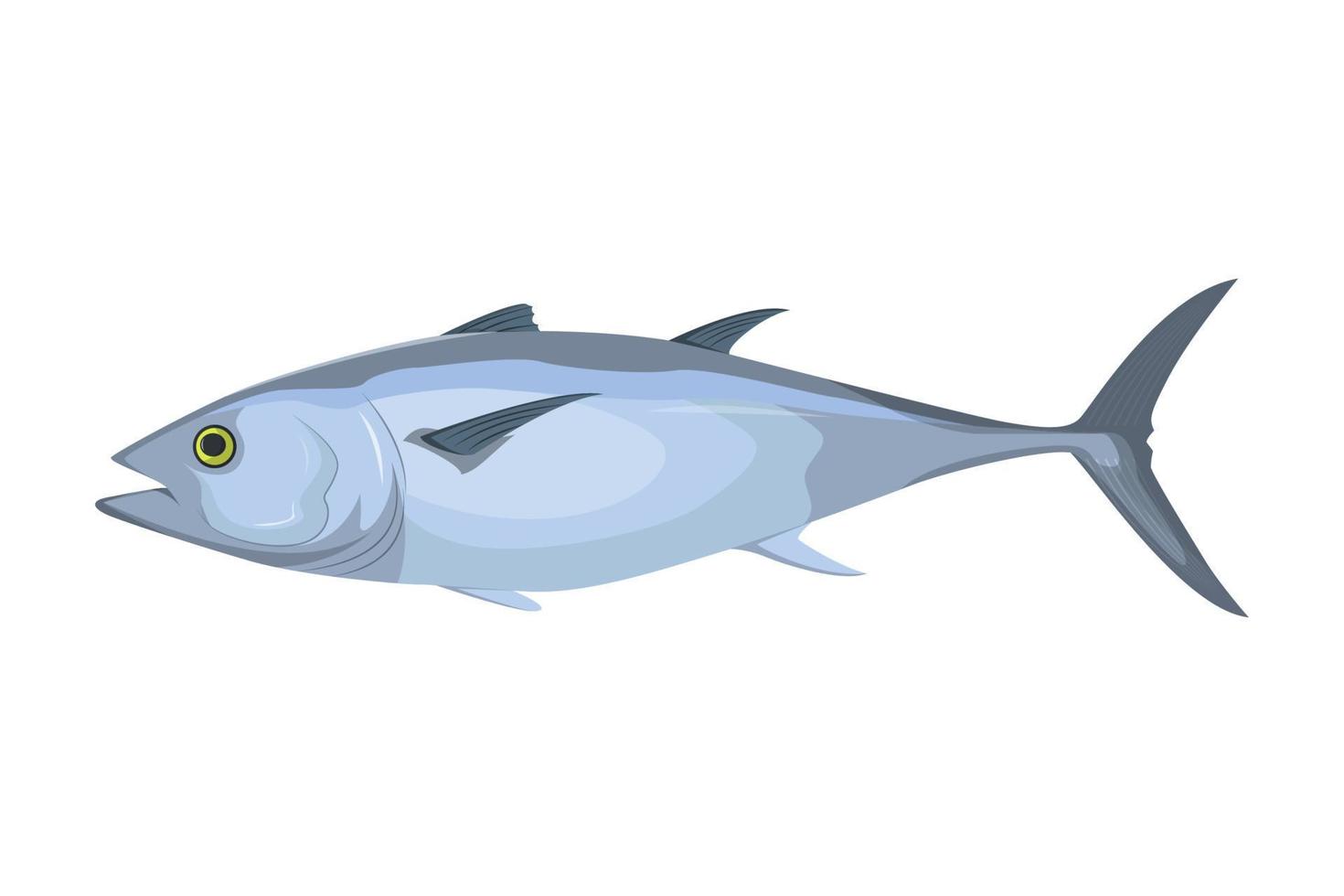 tuna fish vector illustration