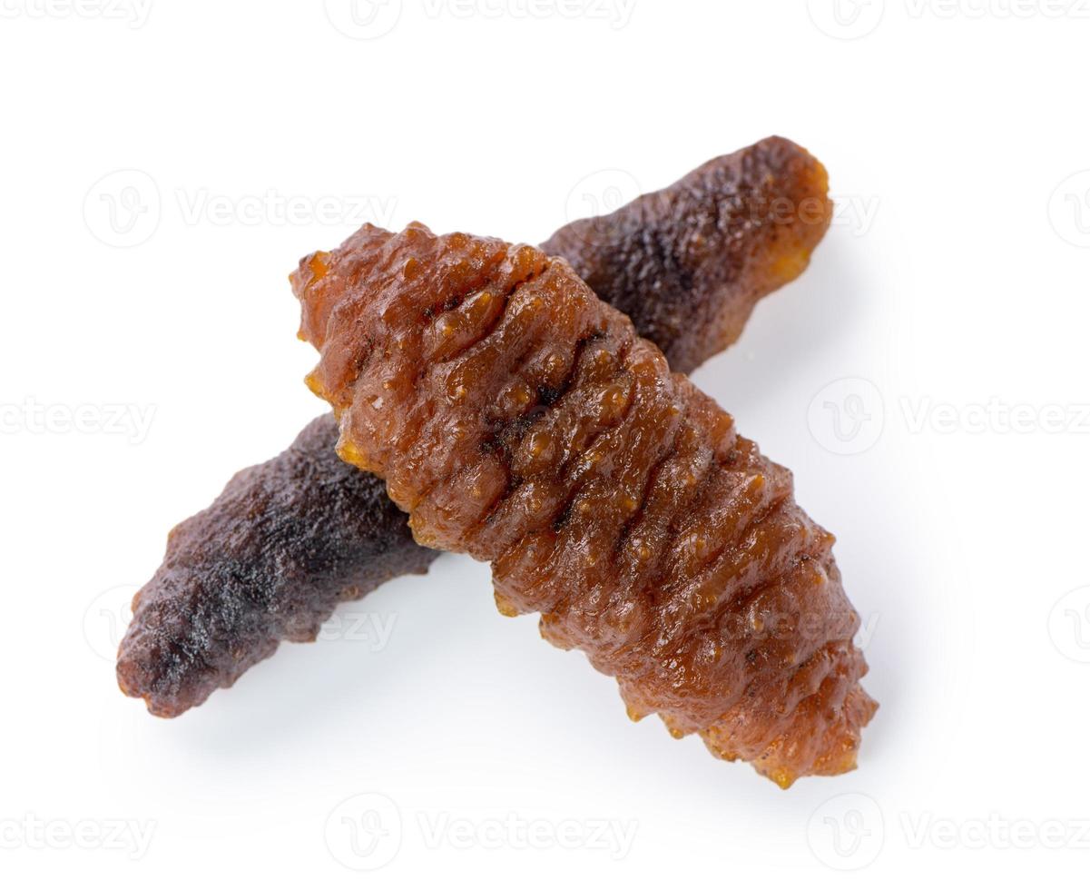 Beautiful sea cucumber seafood isolated on white background, clipping path, cut out, close up. photo