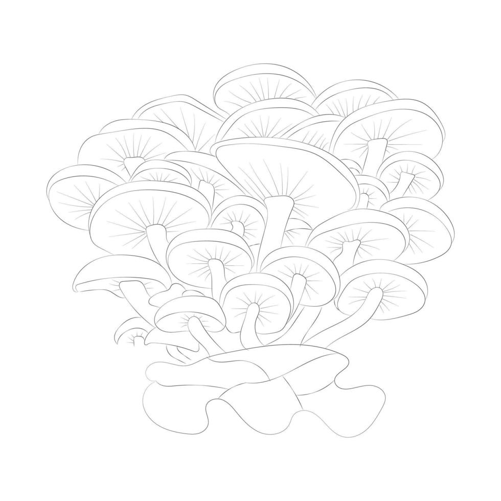 Mushroom coloring pages vector