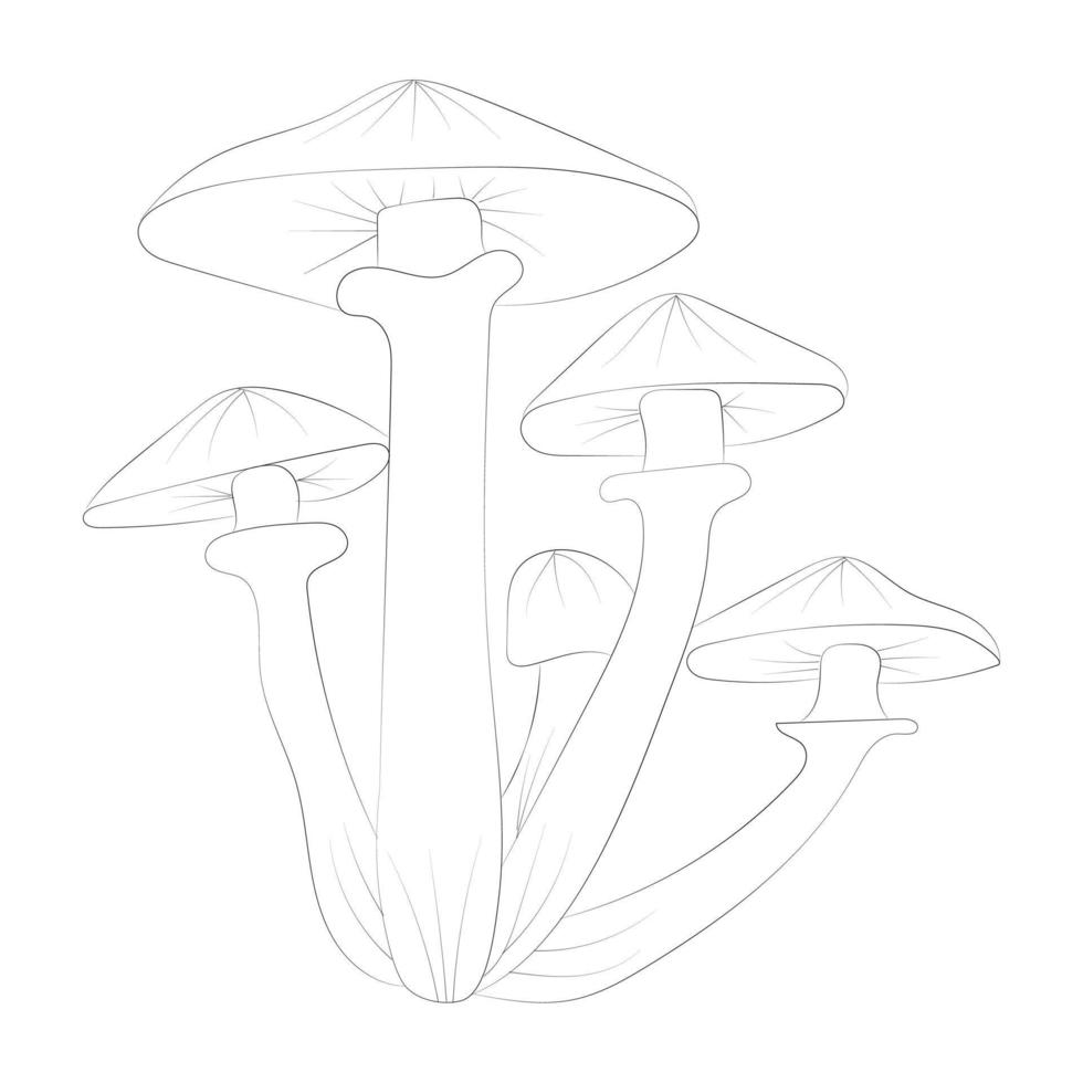 Mushroom coloring pages vector