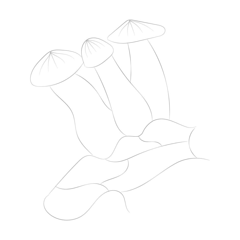 Mushroom coloring pages vector
