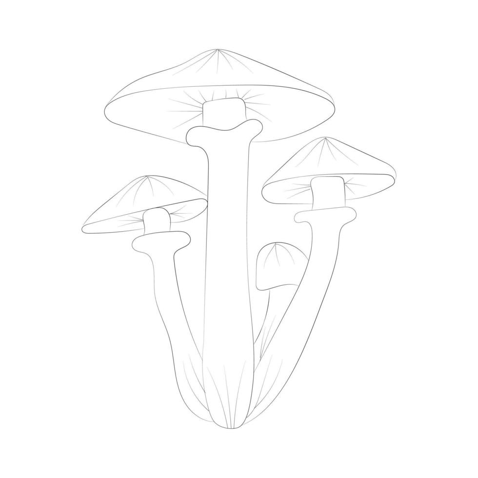 Mushroom coloring pages vector