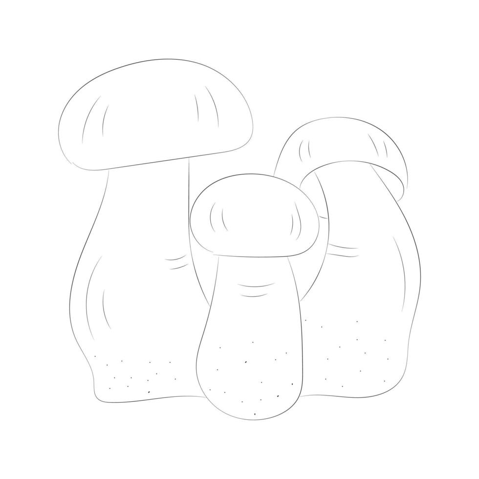 Mushroom coloring pages vector