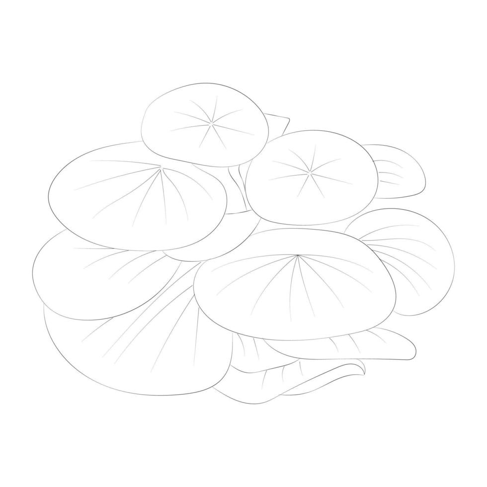 Mushroom coloring pages vector