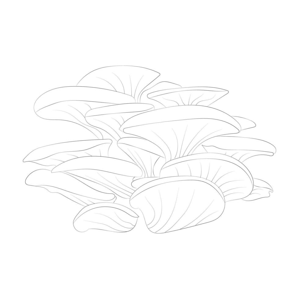 Mushroom coloring pages vector