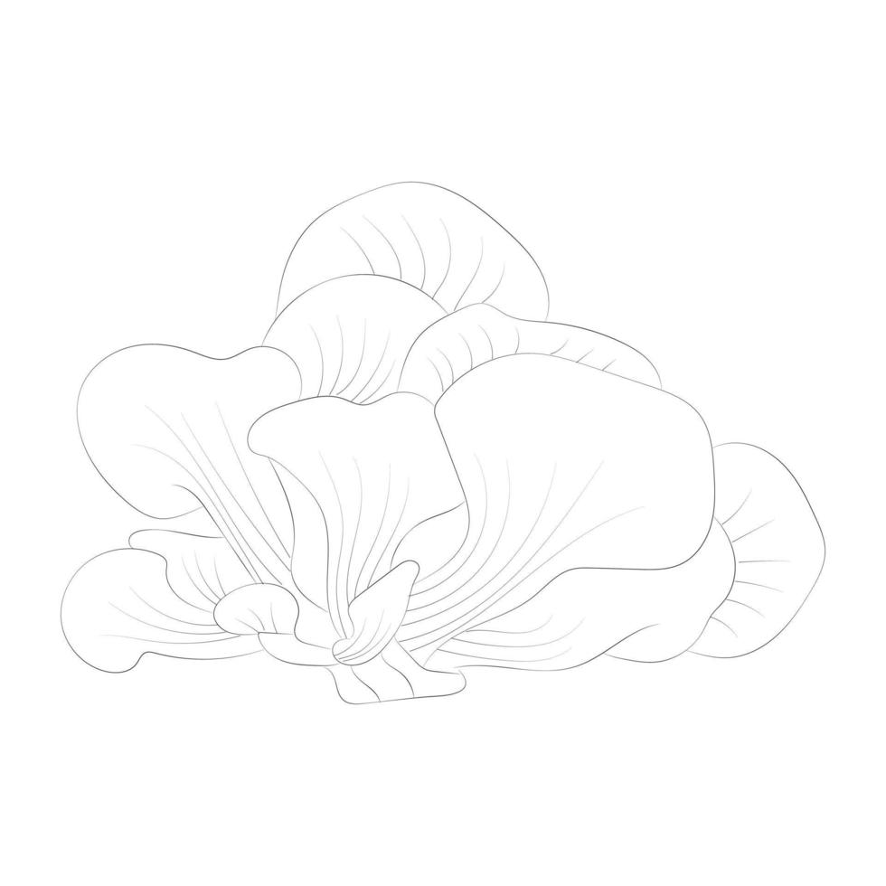 Mushroom coloring pages vector