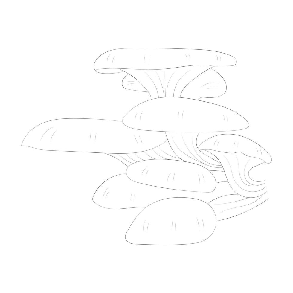 Mushroom coloring pages vector