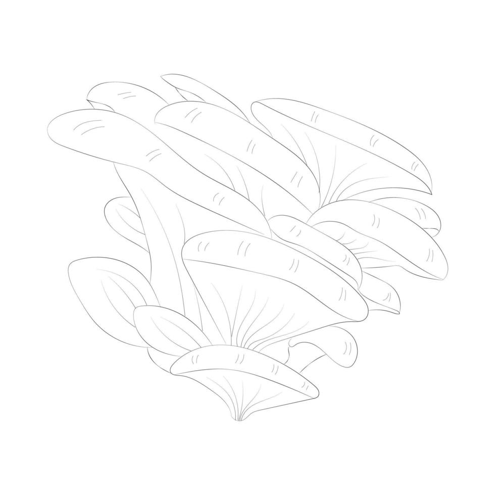 Mushroom coloring pages vector
