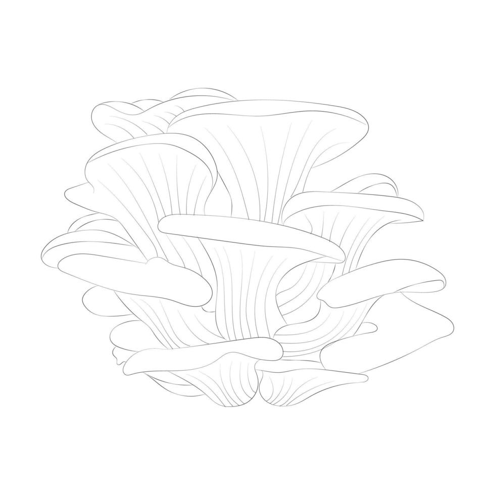 Mushroom coloring pages vector