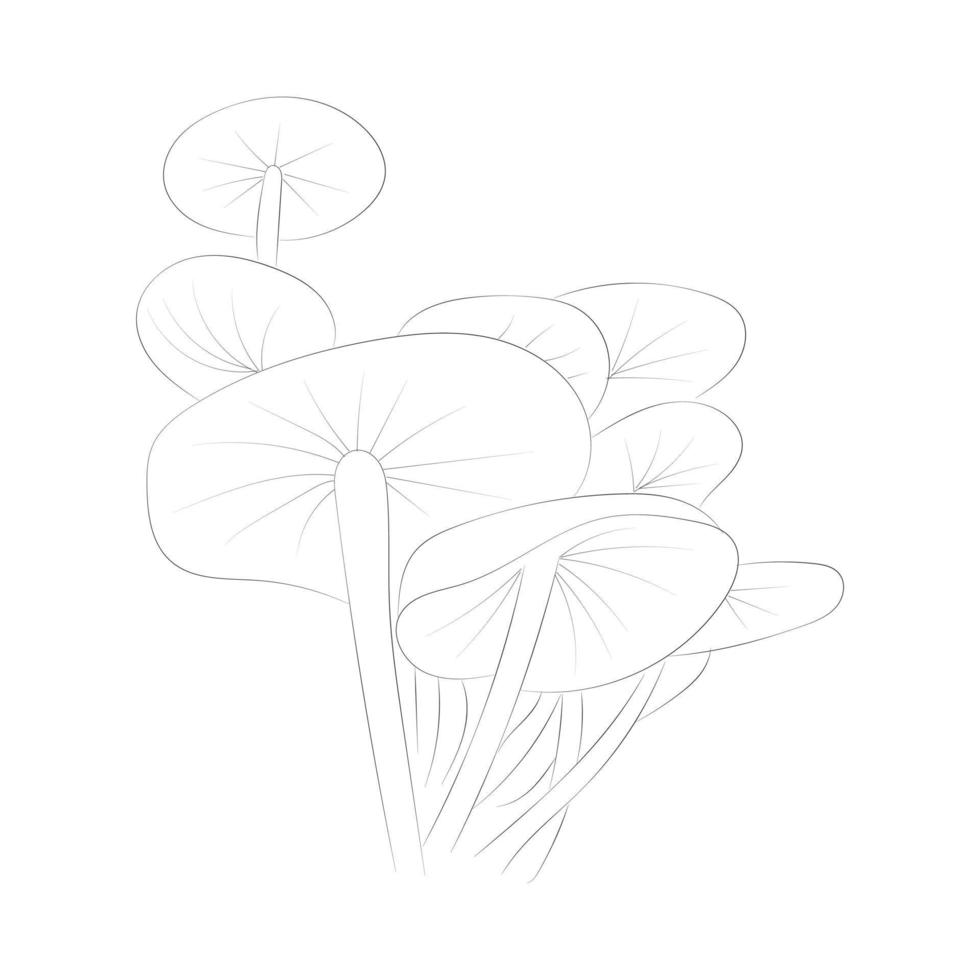 Mushroom coloring pages vector