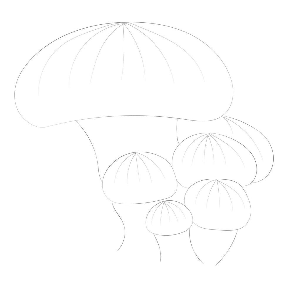 Mushroom coloring pages vector