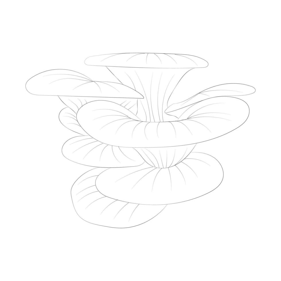 Mushroom coloring pages vector