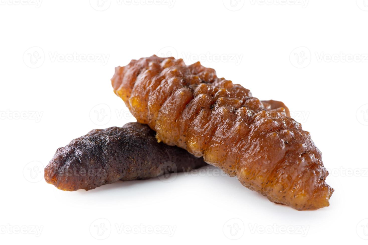 Beautiful sea cucumber seafood isolated on white background, clipping path, cut out, close up. photo