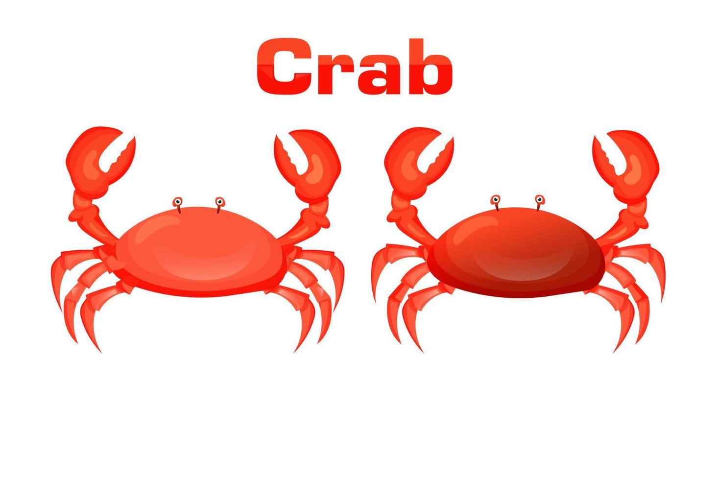 ilustración vectorial de cangrejo rojo. criaturas marinas aisladas vector