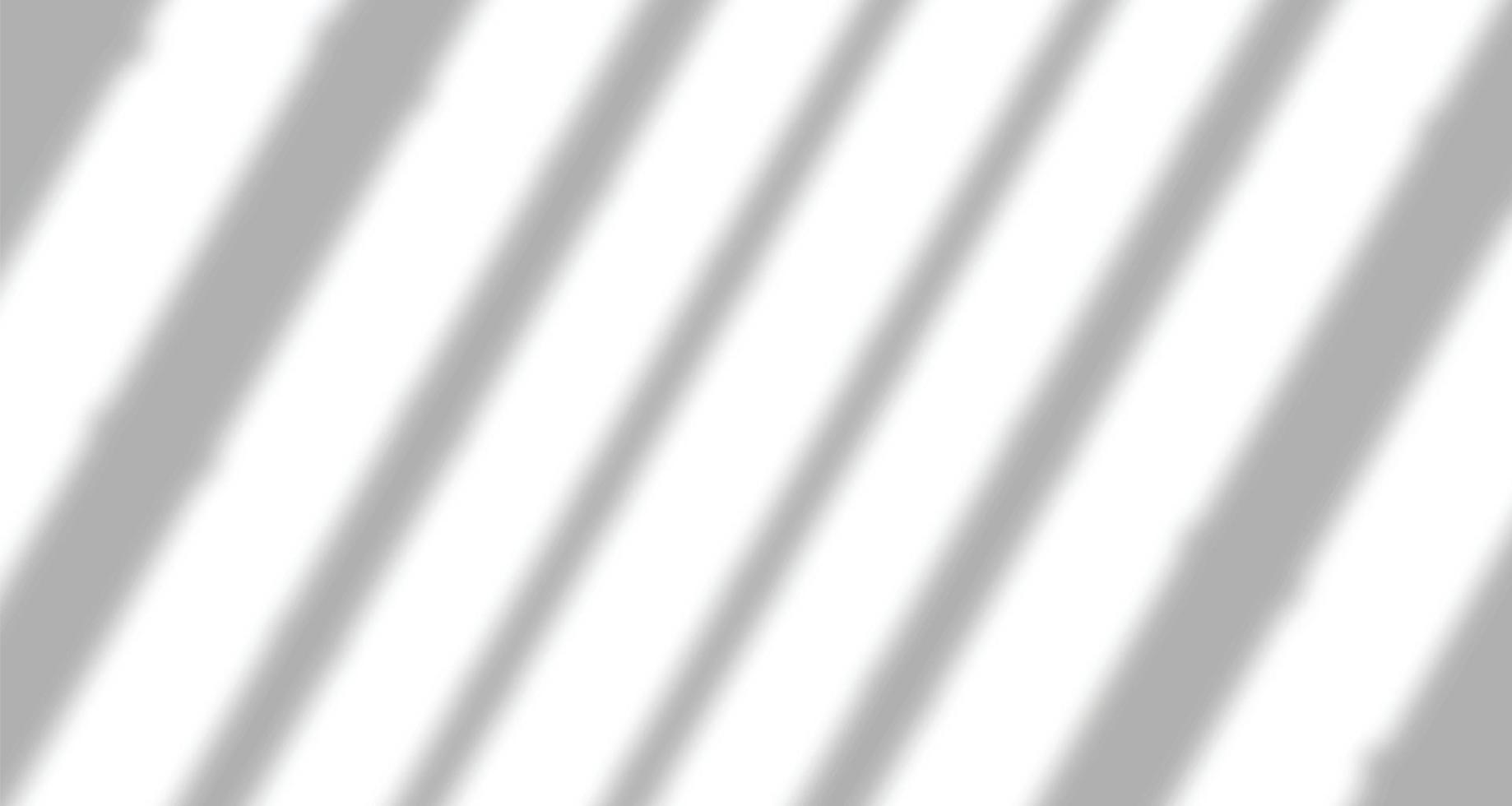 Realistic blurred natural light windows, palm leaves shadow overlay on wall paper or frames texture, abstract background, summer, spring, autumn for product presentation podium and mockup seasonal vector