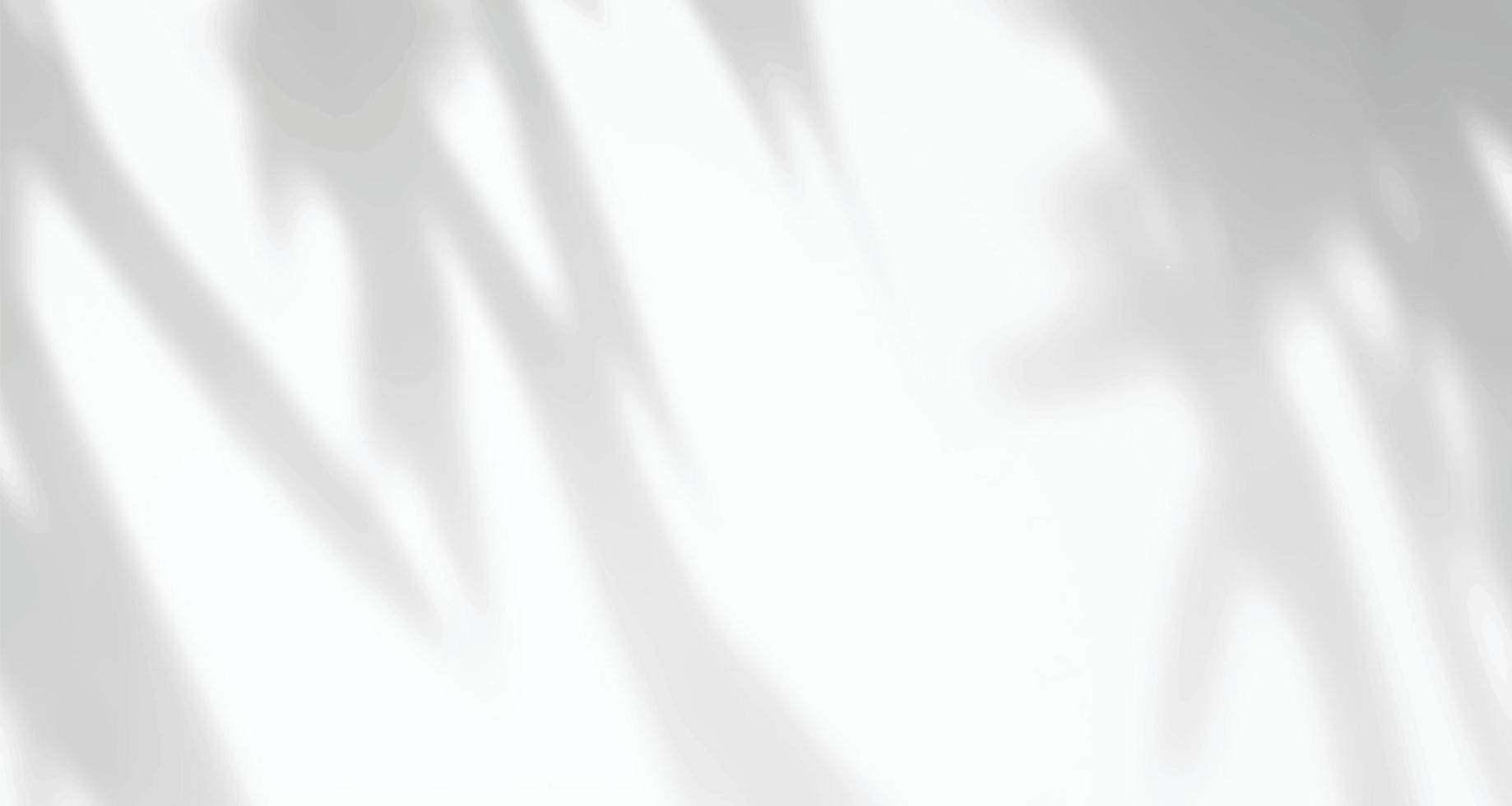 Realistic blurred natural light windows, palm leaves shadow overlay on wall paper or frames texture, abstract background, summer, spring, autumn for product presentation podium and mockup seasonal vector