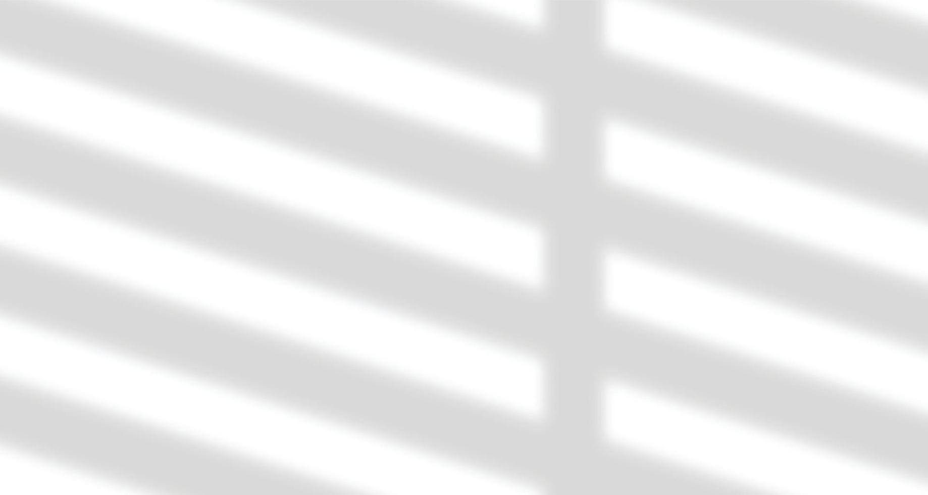 Realistic blurred natural light windows, palm leaves shadow overlay on wall paper or frames texture, abstract background, summer, spring, autumn for product presentation podium and mockup seasonal vector
