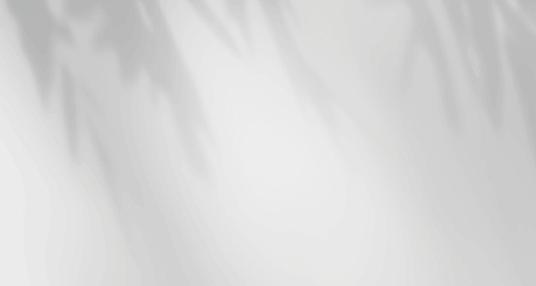 ventanas de luz natural borrosas realistas, superposición de sombras de hojas de palma en papel de pared o textura de marcos, fondo abstracto, verano, primavera, otoño para podio de presentación de productos y maqueta estacional vector
